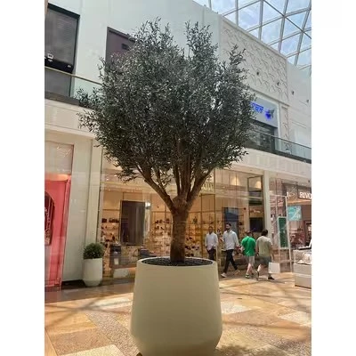 Realistic Olive Tree high quality