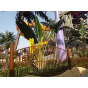 Mesterséges utazók fa